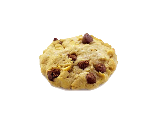 chocolate cookie