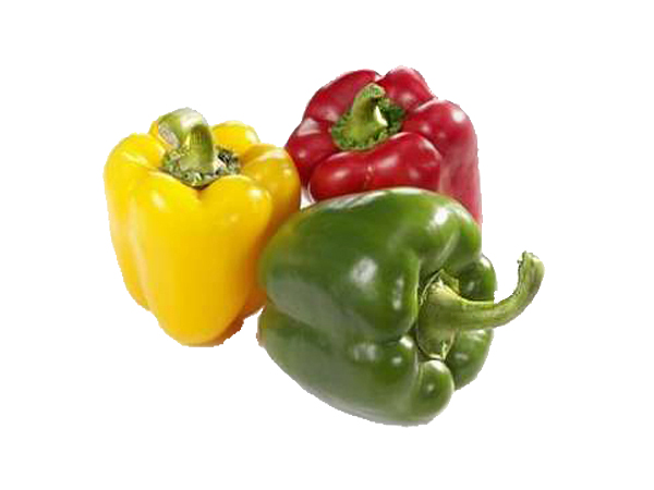 Paprika peppers (red, green, yellow)