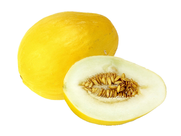 honeydew melon